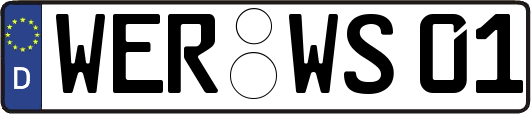 WER-WS01