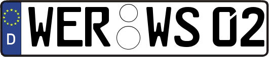 WER-WS02