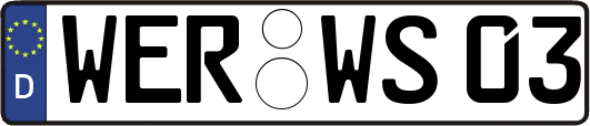 WER-WS03