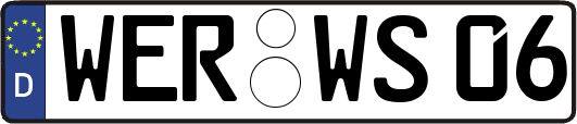 WER-WS06