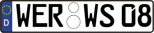 WER-WS08