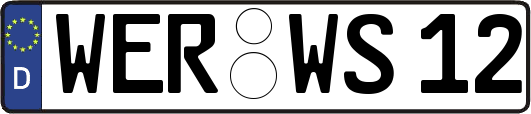 WER-WS12