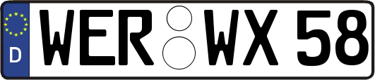WER-WX58