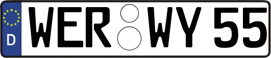 WER-WY55