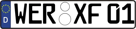WER-XF01