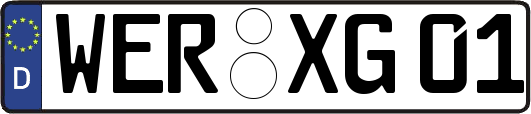 WER-XG01