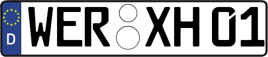 WER-XH01