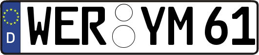 WER-YM61