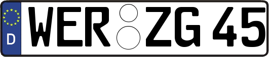 WER-ZG45