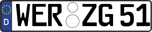 WER-ZG51