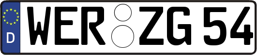 WER-ZG54