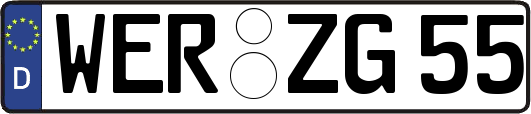 WER-ZG55