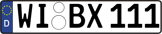 WI-BX111