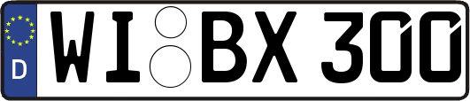 WI-BX300