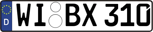 WI-BX310