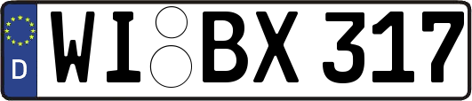WI-BX317