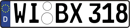 WI-BX318