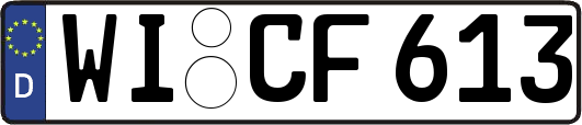 WI-CF613