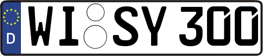 WI-SY300