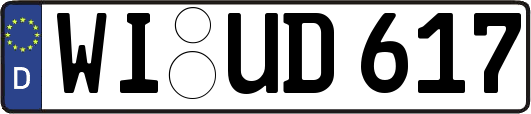 WI-UD617