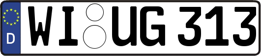 WI-UG313