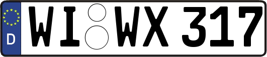 WI-WX317
