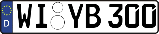 WI-YB300