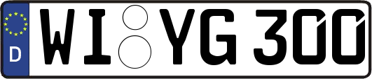 WI-YG300