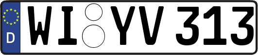 WI-YV313