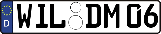 WIL-DM06