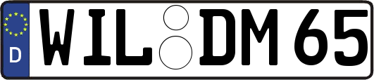WIL-DM65