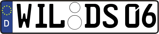 WIL-DS06