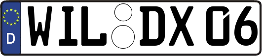 WIL-DX06