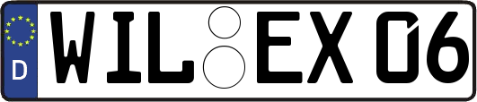 WIL-EX06