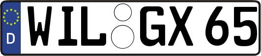 WIL-GX65