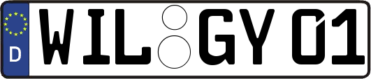 WIL-GY01