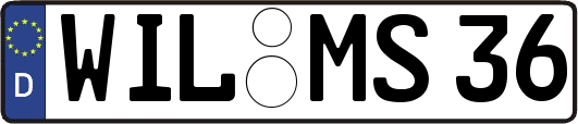 WIL-MS36