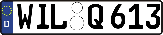 WIL-Q613