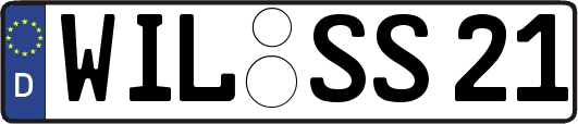 WIL-SS21
