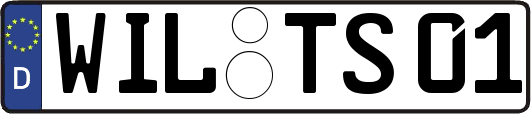 WIL-TS01