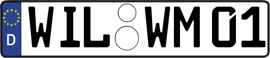 WIL-WM01