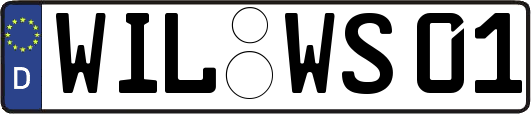 WIL-WS01