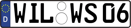 WIL-WS06