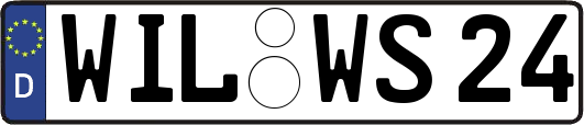 WIL-WS24