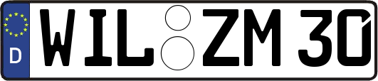 WIL-ZM30