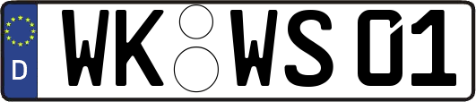 WK-WS01