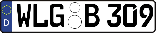 WLG-B309