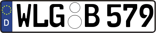 WLG-B579