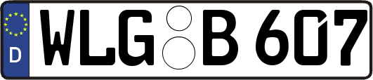WLG-B607
