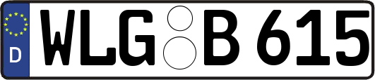 WLG-B615
